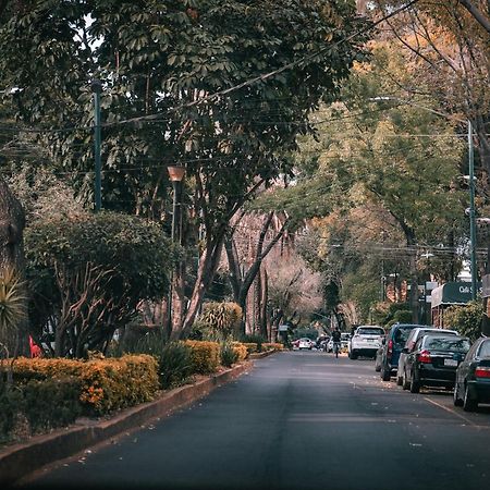 Modern Studio, Rooftop Charm, Cdmx Center2 Мехико Экстерьер фото
