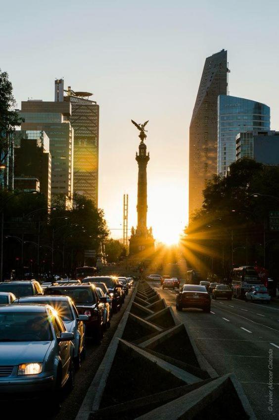 Modern Studio, Rooftop Charm, Cdmx Center2 Мехико Экстерьер фото