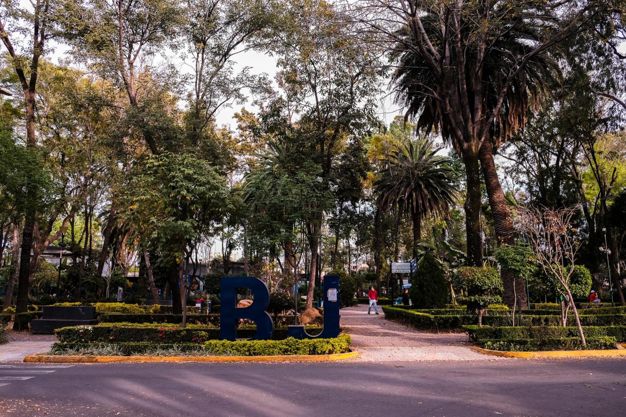 Modern Studio, Rooftop Charm, Cdmx Center2 Мехико Экстерьер фото